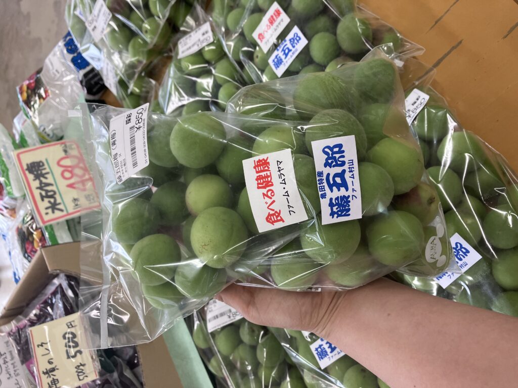 梅の季節到来！ | 有限会社坂井ファームクリエイト